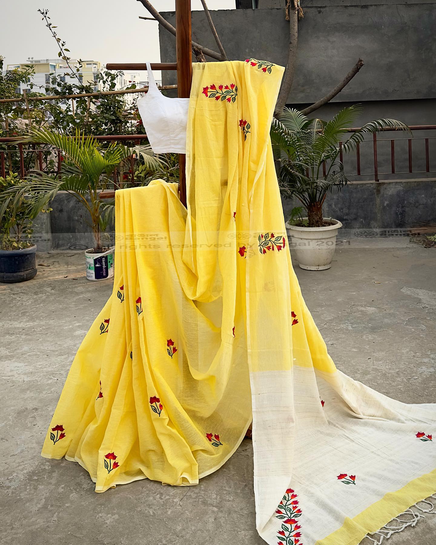 Bhuichapa | ভুঁইচাঁপা